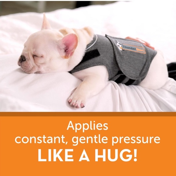 Thundershirt for Dogs - Picture 13 of 14